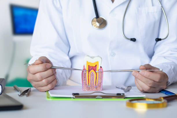 Best Broken or Cracked Tooth Emergency Dentist in Forest Acres, SC